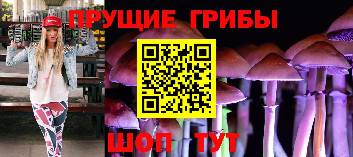 Галлюциногенные грибы Psilocybe  Вход с VPN  Биробиджан  Псилоцибиновые грибы GOLDEN TEACHER 